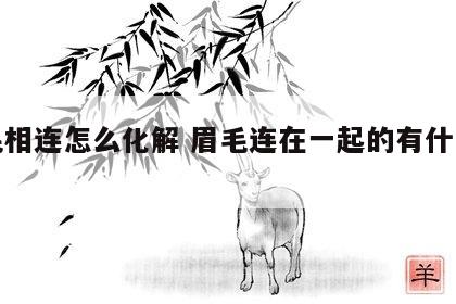眉毛相连怎么化解 眉毛连在一起的有什么说法