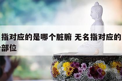 无名指对应的是哪个脏腑 无名指对应的人体哪个部位