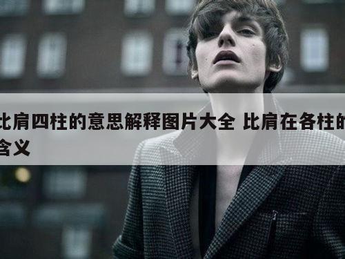比肩四柱的意思解释图片大全 比肩在各柱的含义