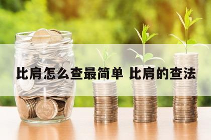 比肩怎么查最简单 比肩的查法
