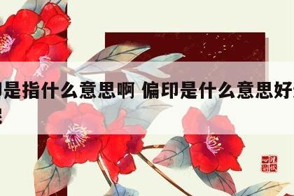 偏印是指什么意思啊 偏印是什么意思好还是坏呢