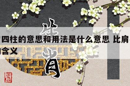 比肩四柱的意思和用法是什么意思 比肩在各柱的含义
