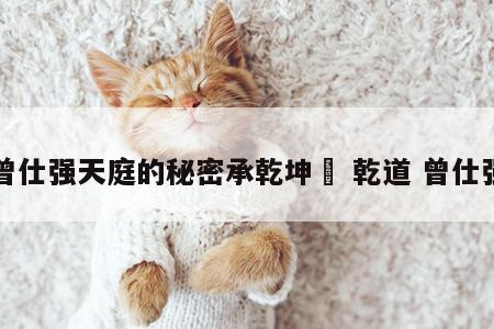 曾仕强天庭的秘密承乾坤	 乾道 曾仕强