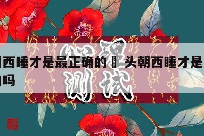 头朝西睡才是最正确的	 头朝西睡才是最正确的吗