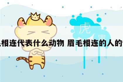 眉毛相连代表什么动物 眉毛相连的人的性格