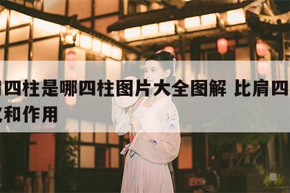 比肩四柱是哪四柱图片大全图解 比肩四柱的意义和作用