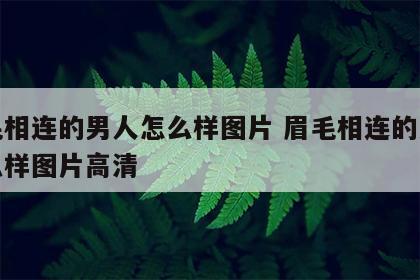 眉毛相连的男人怎么样图片 眉毛相连的男人怎么样图片高清