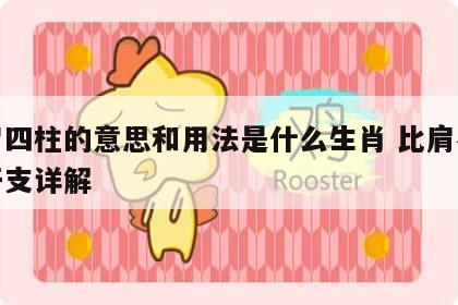 比肩四柱的意思和用法是什么生肖 比肩在四柱干支详解