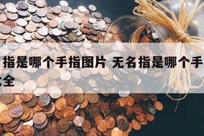 无名指是哪个手指图片 无名指是哪个手指图片大全