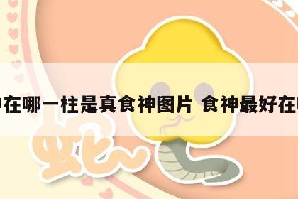 食神在哪一柱是真食神图片 食神最好在哪柱