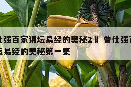 曾仕强百家讲坛易经的奥秘2	 曾仕强百家讲坛易经的奥秘第一集