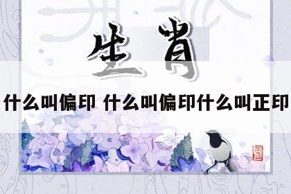 什么叫偏印 什么叫偏印什么叫正印