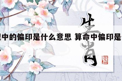 命理中的偏印是什么意思 算命中偏印是什么意思