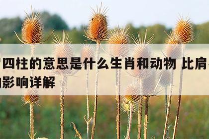 比肩四柱的意思是什么生肖和动物 比肩在四柱的影响详解