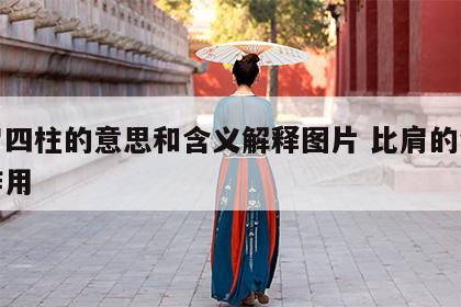 比肩四柱的意思和含义解释图片 比肩的含义和作用