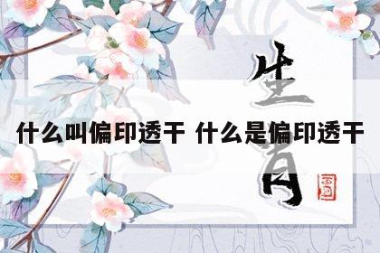 什么叫偏印透干 什么是偏印透干