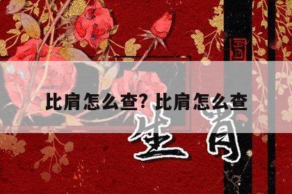 比肩怎么查? 比肩怎么查