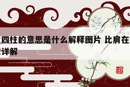 比肩四柱的意思是什么解释图片 比肩在四柱干支详解