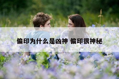 偏印为什么是凶神 偏印很神秘