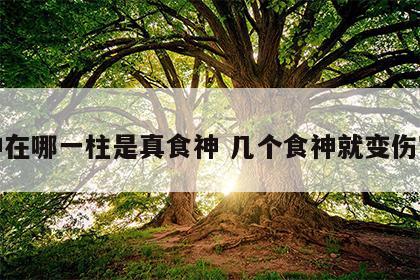 食神在哪一柱是真食神 几个食神就变伤官了