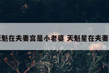 天魁在夫妻宫是小老婆 天魁星在夫妻宫