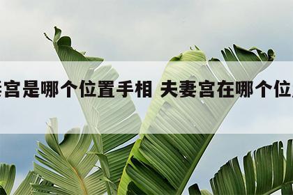 夫妻宫是哪个位置手相 夫妻宫在哪个位置最好