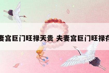 夫妻宫巨门旺禄天贵 夫妻宫巨门旺禄存庙