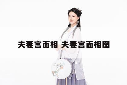 夫妻宫面相 夫妻宫面相图