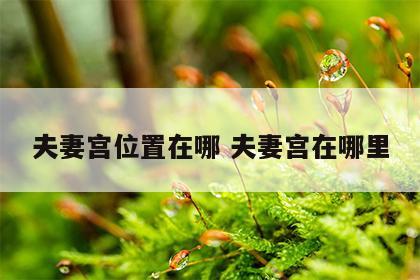 夫妻宫位置在哪 夫妻宫在哪里
