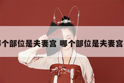 哪个部位是夫妻宫 哪个部位是夫妻宫女
