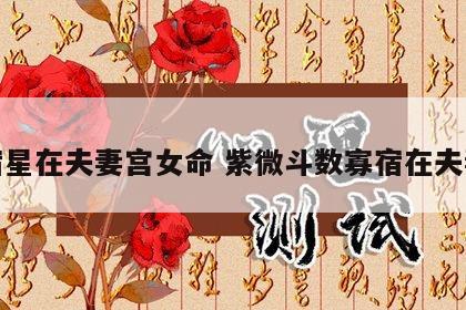 寡宿星在夫妻宫女命 紫微斗数寡宿在夫妻宫