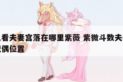 怎么看夫妻宫落在哪里紫薇 紫微斗数夫妻宫看配偶位置
