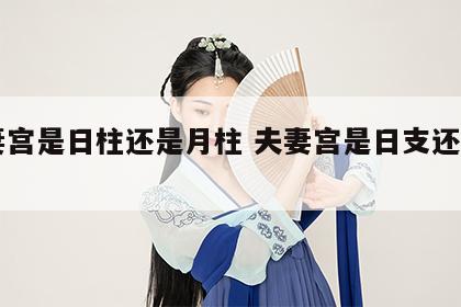 夫妻宫是日柱还是月柱 夫妻宫是日支还是月支