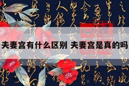 夫妻宫有什么区别 夫妻宫是真的吗