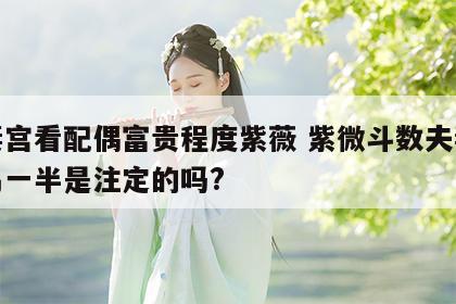 夫妻宫看配偶富贵程度紫薇 紫微斗数夫妻宫看另一半是注定的吗?