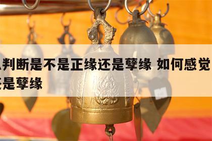 怎么判断是不是正缘还是孽缘 如何感觉是正缘还是孽缘