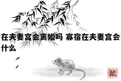寡宿在夫妻宫会离婚吗 寡宿在夫妻宫会离婚吗为什么