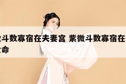 紫微斗数寡宿在夫妻宫 紫微斗数寡宿在夫妻宫女命