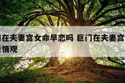 巨门在夫妻宫女命早恋吗 巨门在夫妻宫的男人感情观