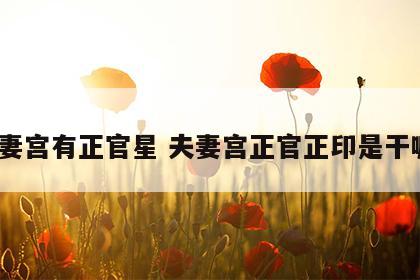夫妻宫有正官星 夫妻宫正官正印是干嘛?
