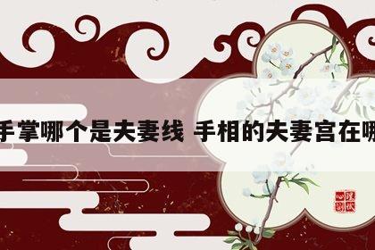 手掌哪个是夫妻线 手相的夫妻宫在哪
