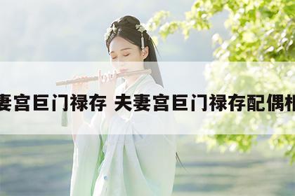 夫妻宫巨门禄存 夫妻宫巨门禄存配偶相貌