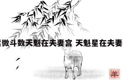 紫微斗数天魁在夫妻宫 天魁星在夫妻宫