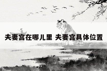 夫妻宫在哪儿里 夫妻宫具体位置