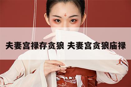 夫妻宫禄存贪狼 夫妻宫贪狼庙禄