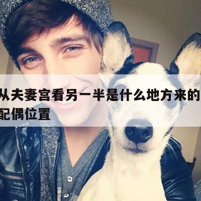 如何从夫妻宫看另一半是什么地方来的 夫妻宫看配偶位置