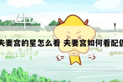夫妻宫的星怎么看 夫妻宫如何看配偶