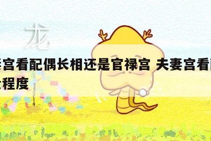 夫妻宫看配偶长相还是官禄宫 夫妻宫看配偶富贵程度