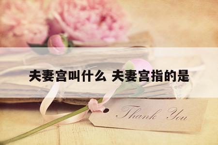 夫妻宫叫什么 夫妻宫指的是