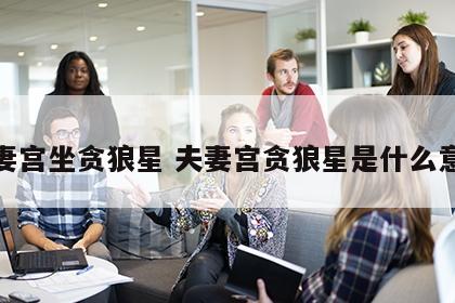 夫妻宫坐贪狼星 夫妻宫贪狼星是什么意思